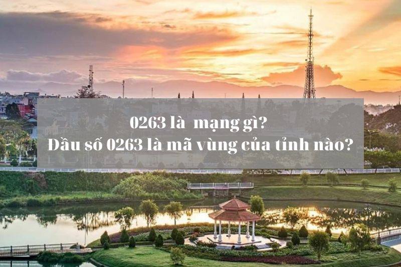 Đầu số 0263 là mạng gì và của tỉnh nào?