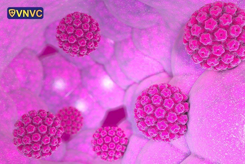 HPV type 16 là gì? Nguy hiểm và cách phòng ngừa