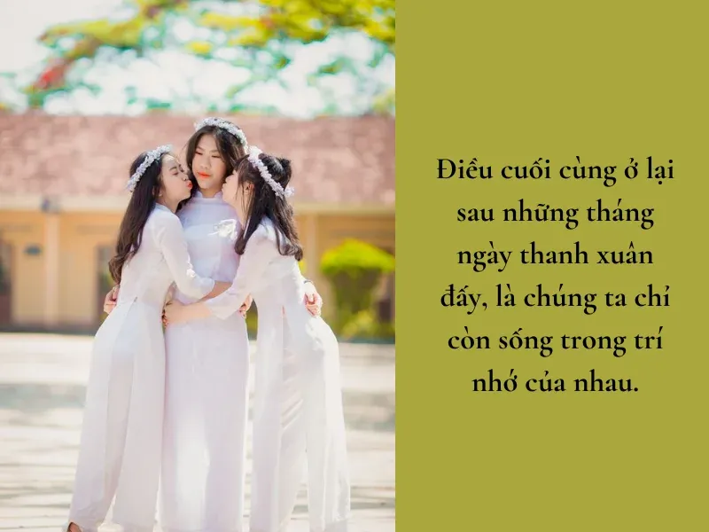 stt hay về học sinh cuối cấp (2)