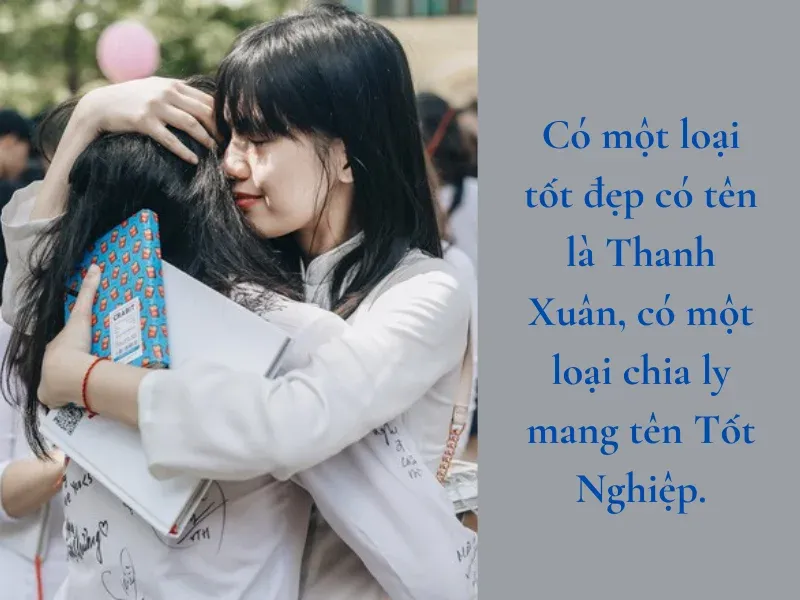 stt hay về học sinh cuối cấp