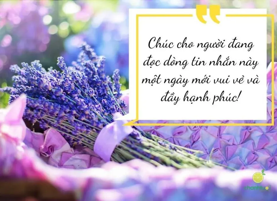 Thiệp chúc ngày mới với thiên nhiên tươi đẹp