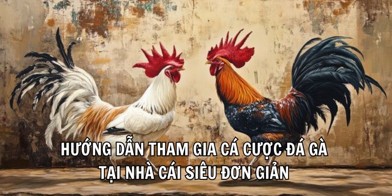 Hướng dẫn tham gia cá cược đá gà tại nhà cái siêu đơn giản 