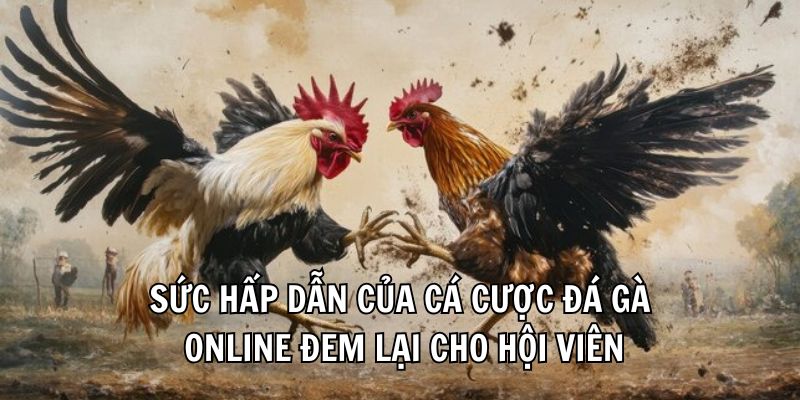 Sức hấp dẫn của cá cược đá gà online đem lại cho hội viên