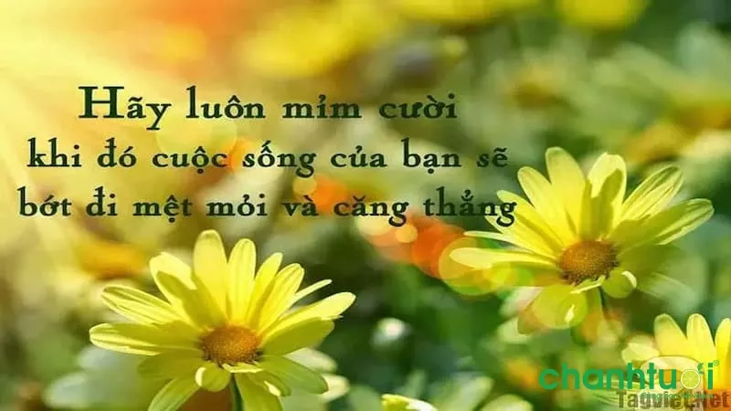 Stt hay, ngắn vui giúp giải tỏa căng thẳng