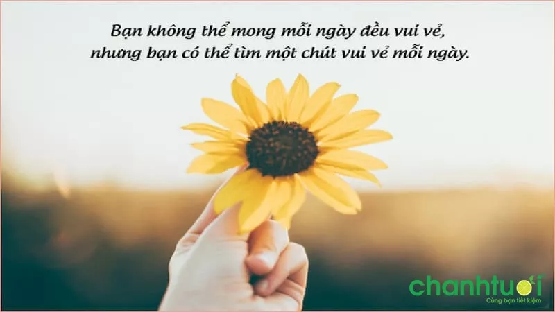 Stt về cuộc sống hài hước, vui vẻ