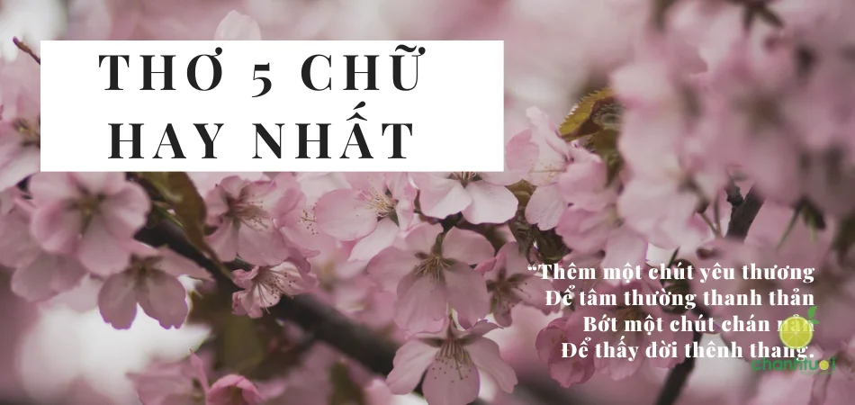 1001 bài thơ 5 chữ hay nhất về nhiều chủ đề