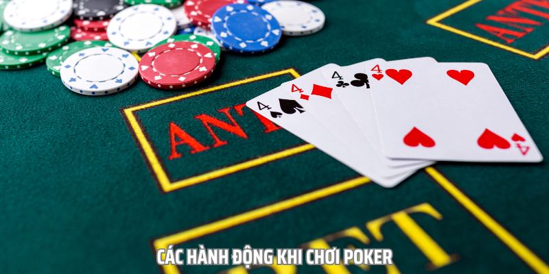 Các hành động thực hiện trong một ván bài Poker