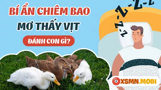 Đánh lô đề bao nhiêu nếu ngủ mơ thấy vịt?