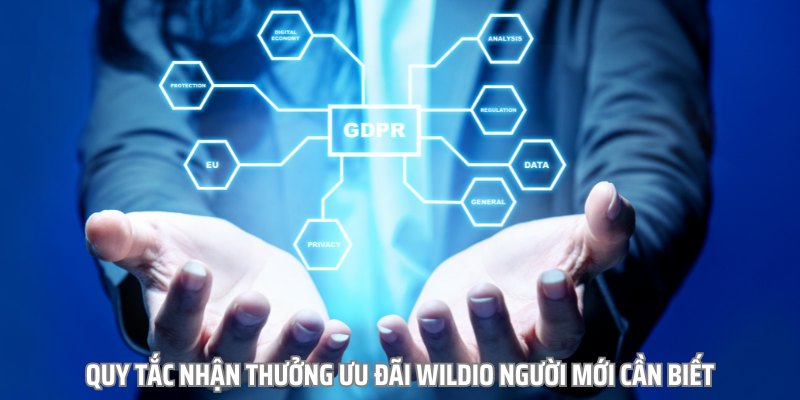 Quy tắc nhận thưởng ưu đãi wildio người mới cần biết