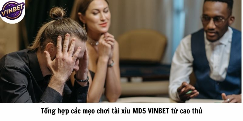 Tổng hợp các mẹo chơi tài xỉu MD5 VINBET từ cao thủ