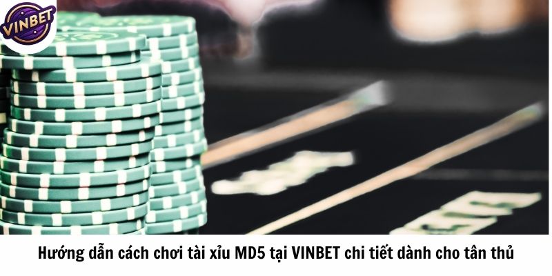 Hướng dẫn cách chơi tài xỉu MD5 tại VINBET chi tiết dành cho tân thủ