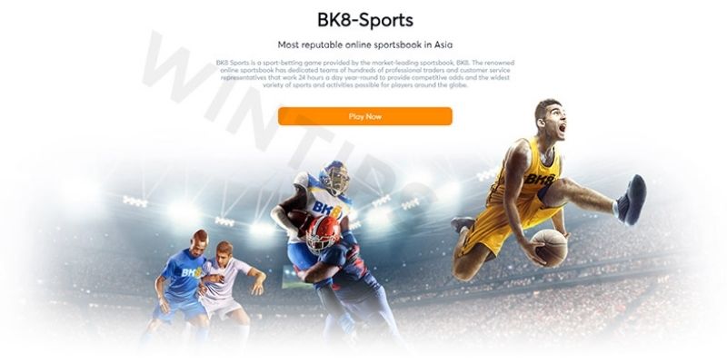 Các bộ môn nổi bật tại Thể Thao Jun88