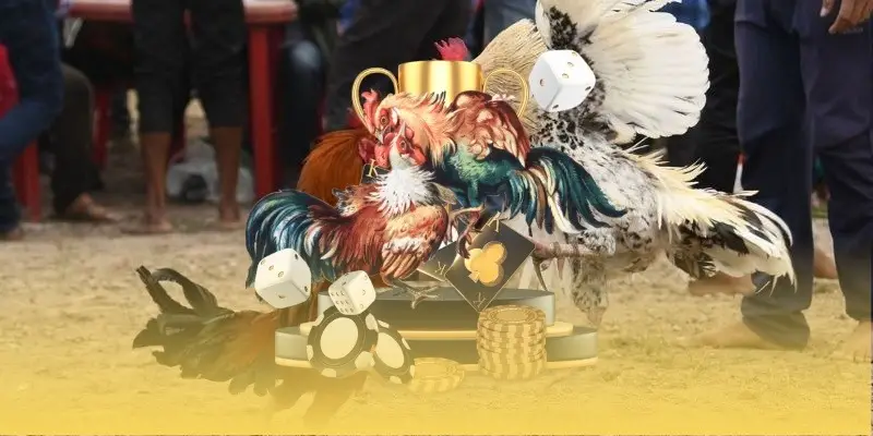 Khám Phá Toàn Diện Về Dola789 - Cầu Nối An Toàn Giữa Người Chơi Và Thế Giới Tiền Ảo