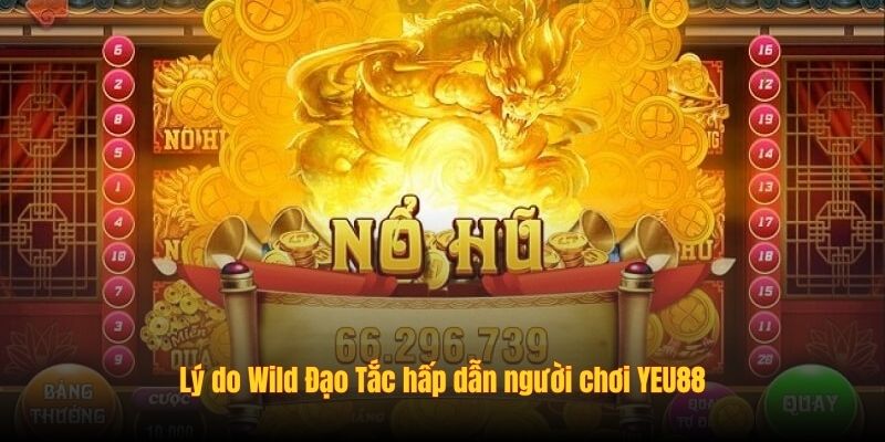 Lý do Wild Đạo Tắc hấp dẫn người chơi YEU88