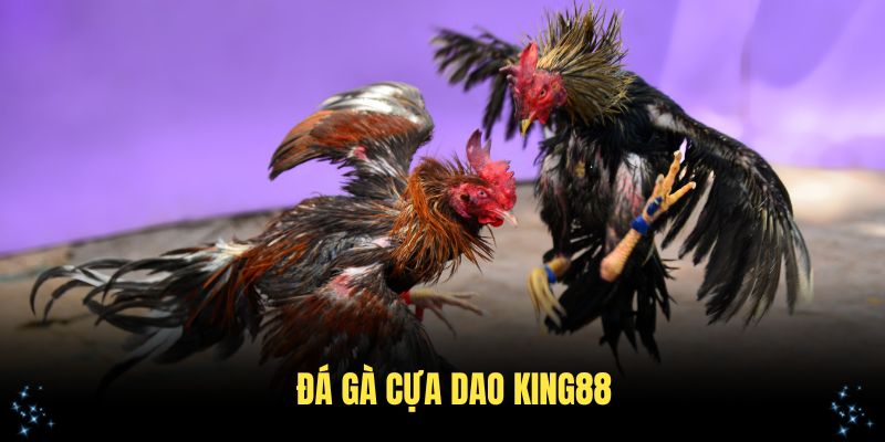 Đá Gà Cựa Dao King88 Trực Tuyến Tuyệt vời
