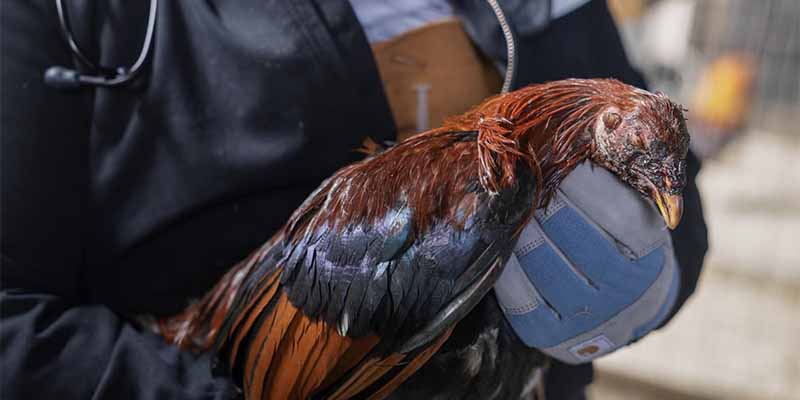 Tham gia NK88 để tránh xa vấn nạn lừa đảo