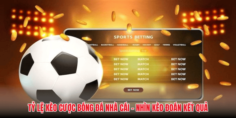 Tỷ Lệ Kèo Cược Bóng Đá Nhà Cái - Nhìn Kèo Đoán Kết Quả