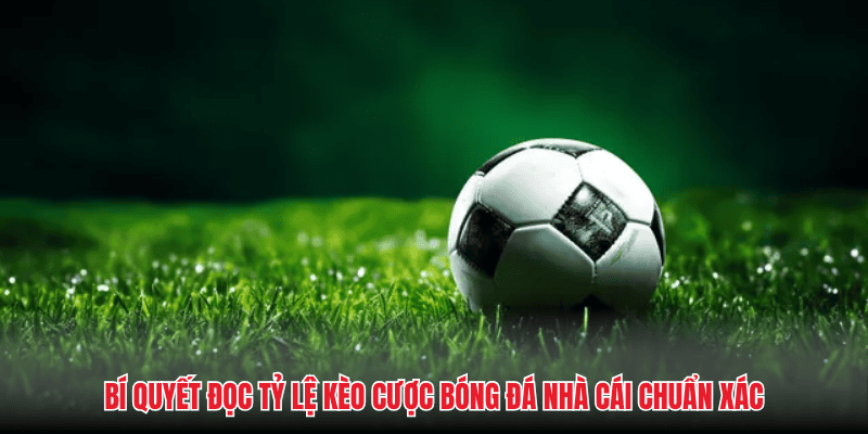 Bí quyết đọc tỷ lệ kèo cược bóng đá nhà cái chuẩn xác