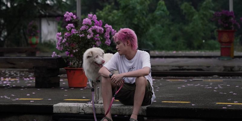 Sơ bộ thông tin phim Tạm biệt Gohan