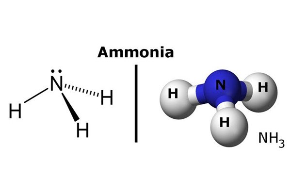 Amoniac có ở đâu