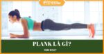 Plank là gì