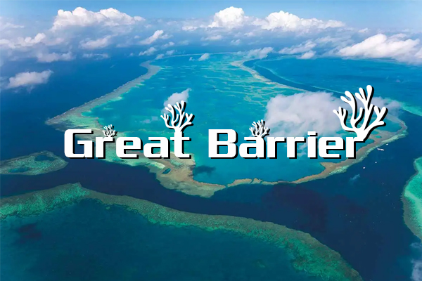 The great barrier reef là gì