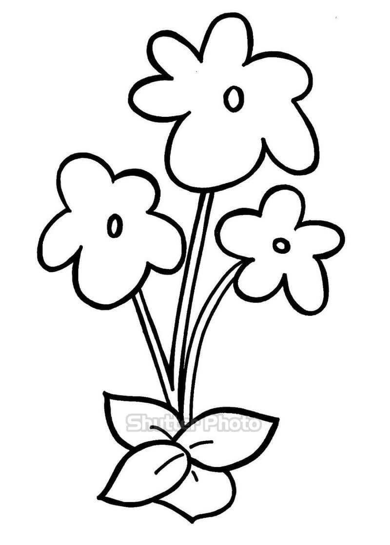 Hình Vẽ Bông Hoa Cách Vẽ Bông Hoa Vừa Đẹp Vừa Dễ
