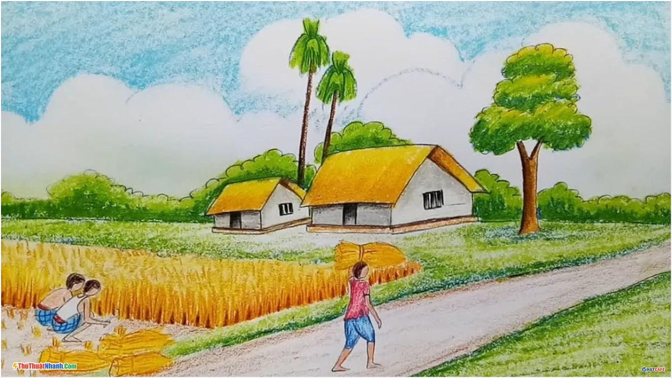 Tranh vẽ cảnh đồng lúa của học sinh
