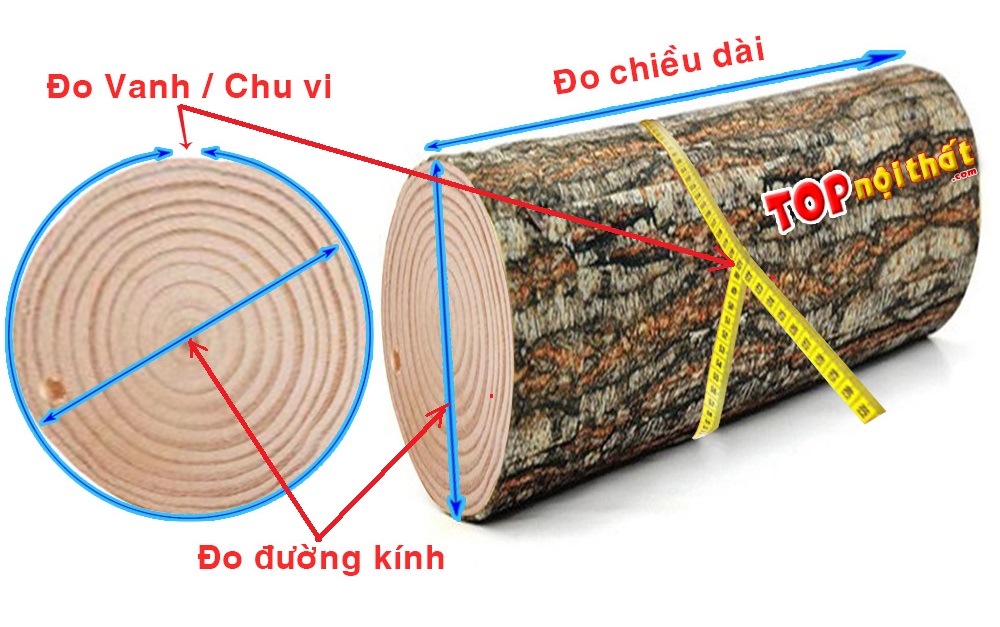 Vanh gỗ là gì